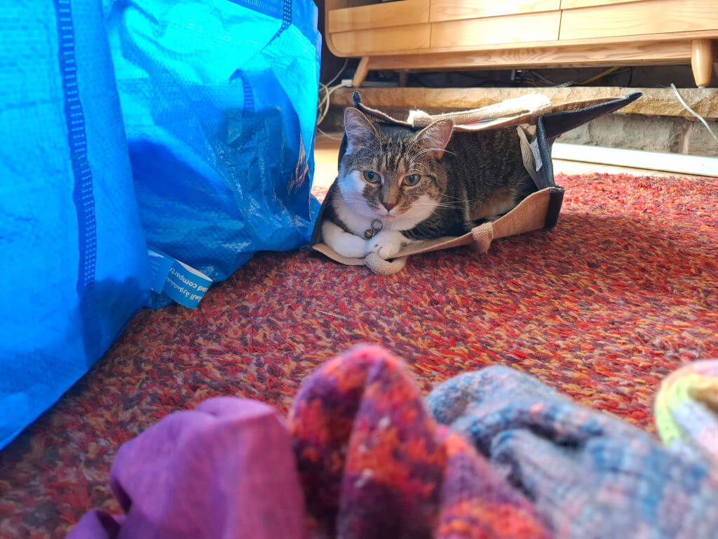 A tabby cat hides in a bag on a red carpet. Nearby are a blue bag and colourful clothing. The scene is cosy and relaxed.