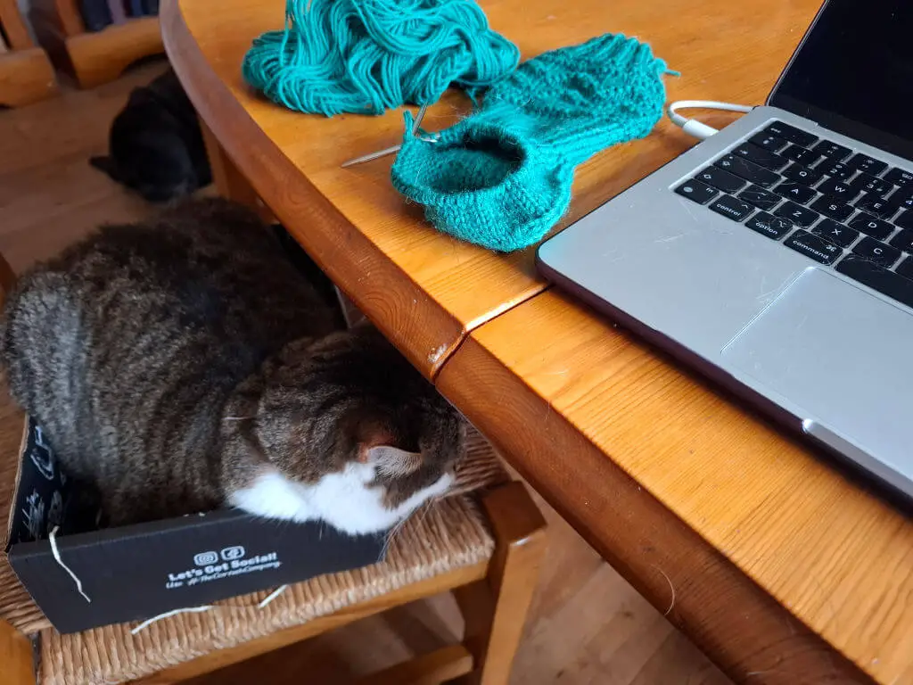 A tabby cat snugly fits in a small black box on a chair, next to a wooden table with green yarn, knitting needles, and an open laptop. Cosy, homey scene.