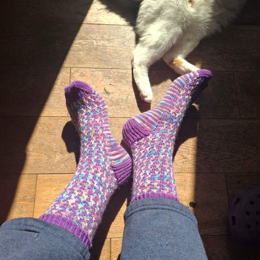 Two feet in colourful, patterned purple socks rest on wooden floorboards in sunlight. A white cat's legs partially appear, adding a cosy feel.