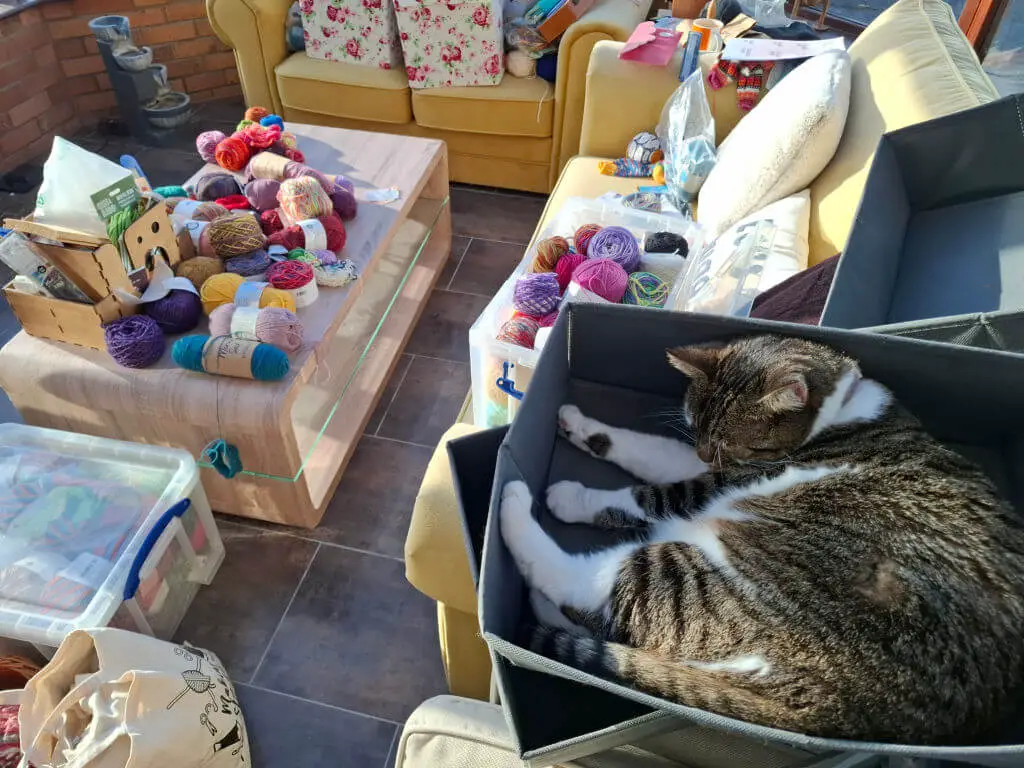A tabby cat sleeps in a box on a yellow sofa surrounded by colourful yarn and knitting supplies. The scene is cosy and inviting.