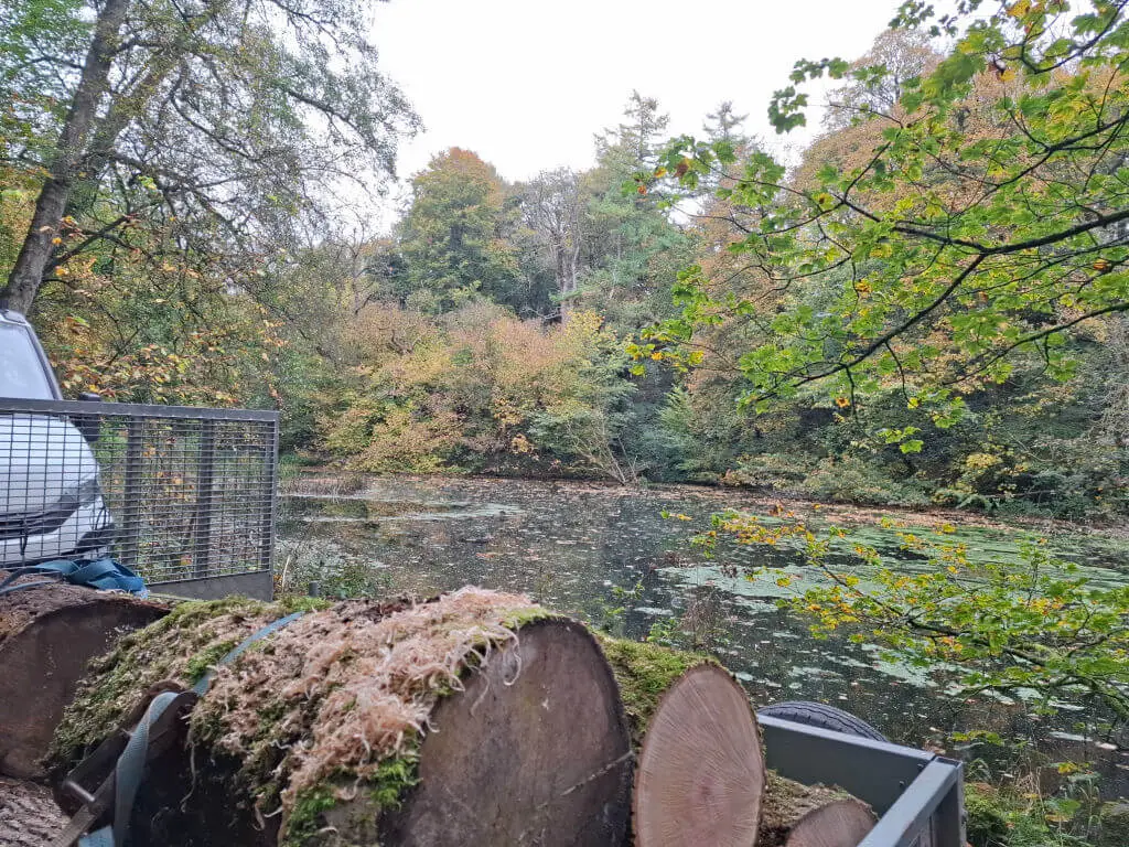 A serene forest pond scene with autumn foliage in subtle yellows and greens. Logs and part of a parked vehicle are visible to the left, evoking a calm, rustic feel.