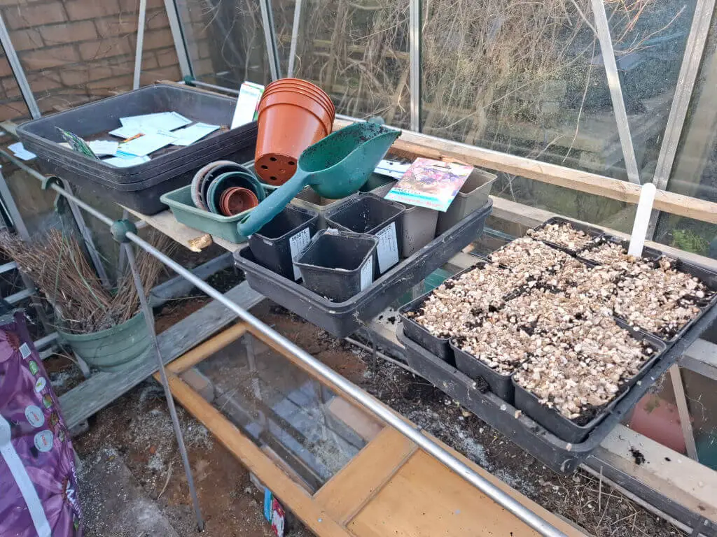Greenhouse potting bench with seed trays, gardening tools, and pots. Soil-filled sections and plant labels suggest active planting. Relaxed, organised atmosphere.