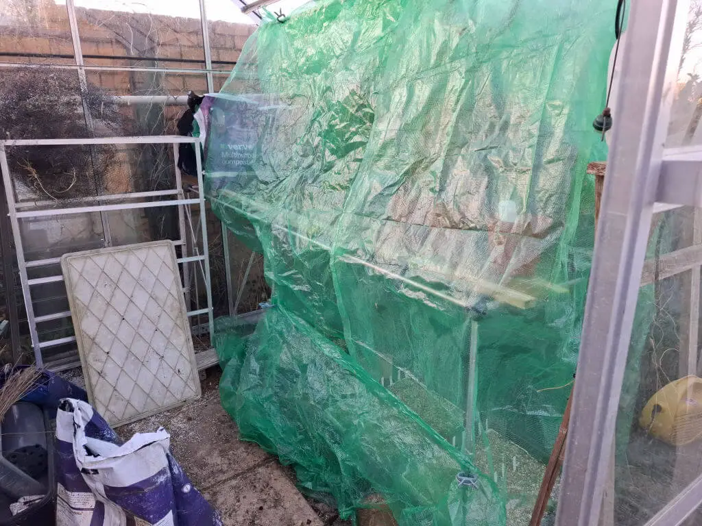 Greenhouse interior with green mesh covering shelves, a ladder propped against a wall, and gardening supplies scattered. The scene feels cluttered yet utilitarian.