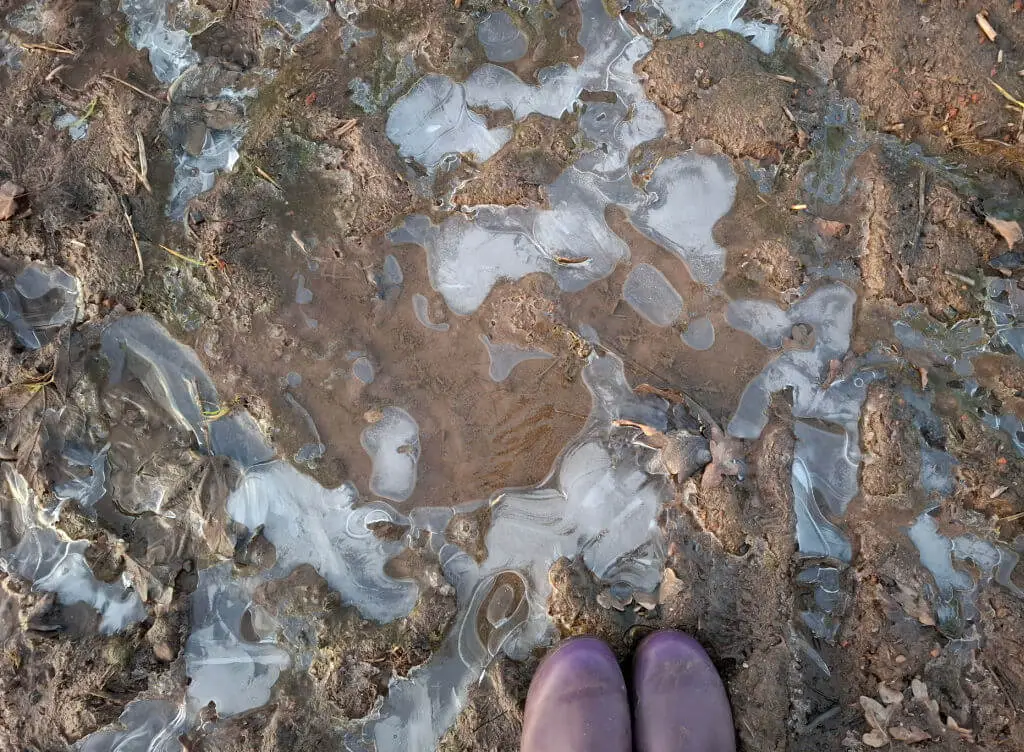 Purple wellington boots stand on muddy ground with patches of ice, creating a contrast between frozen and thawed textures, evoking a cold, wintry feel.