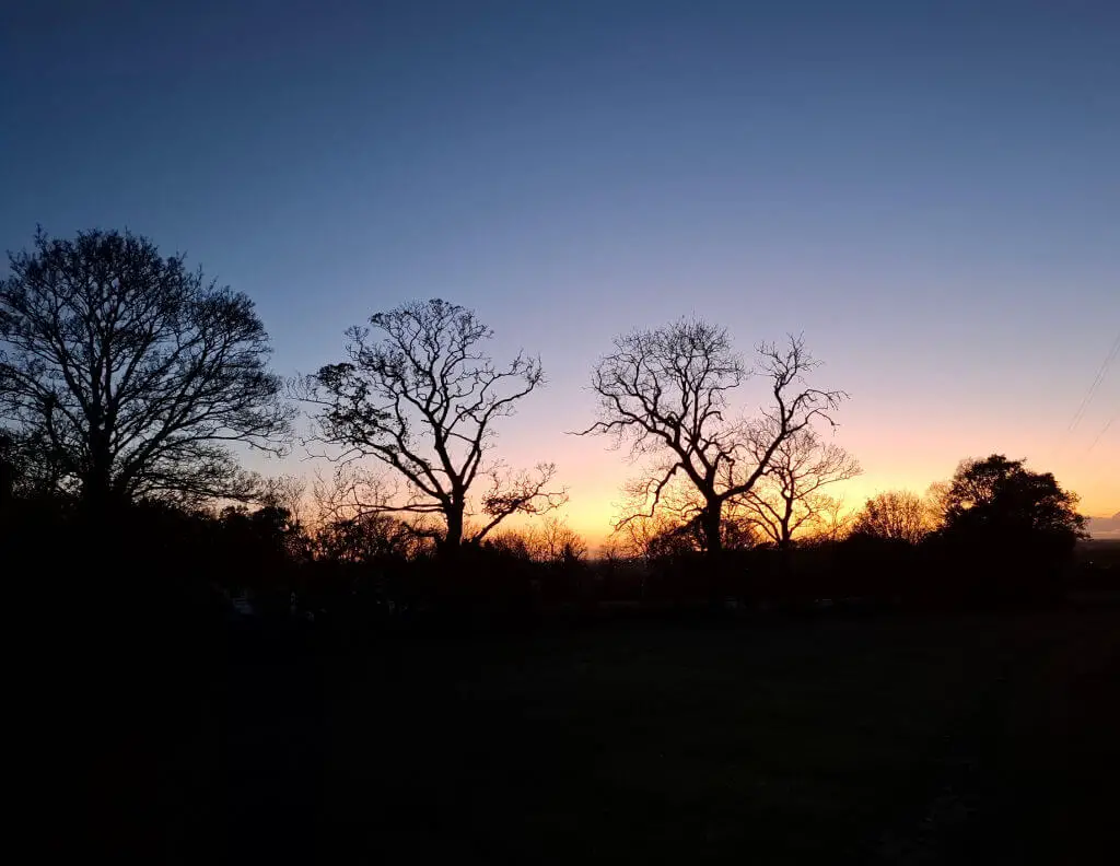 Silhouetted trees against a vibrant sunset, displaying hues of orange and purple in the sky. The scene conveys tranquillity and natural beauty.