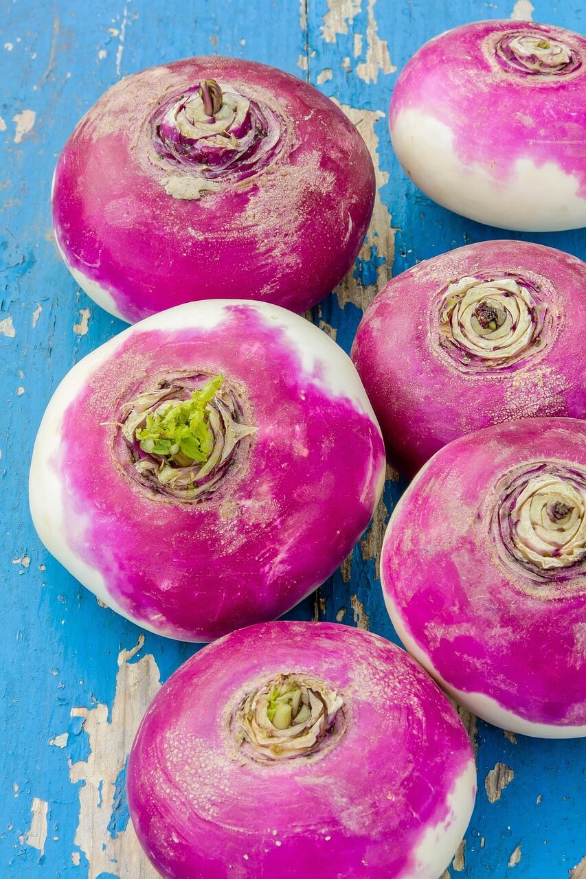 Cluster of vibrant turnips with purple and white hues on a weathered blue wooden surface, conveying a rustic, fresh-from-the-farm feel.
