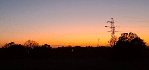 Sunset with a gradient sky, orange fading to deep blue. Silhouetted trees and power lines create a serene, tranquil scene.