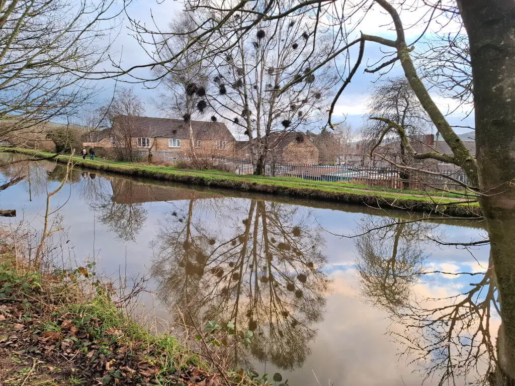 A serene winter scene with bare trees and blobby growths reflected in a calm river. Houses and a fence line the opposite bank, evoking a peaceful rural vibe.