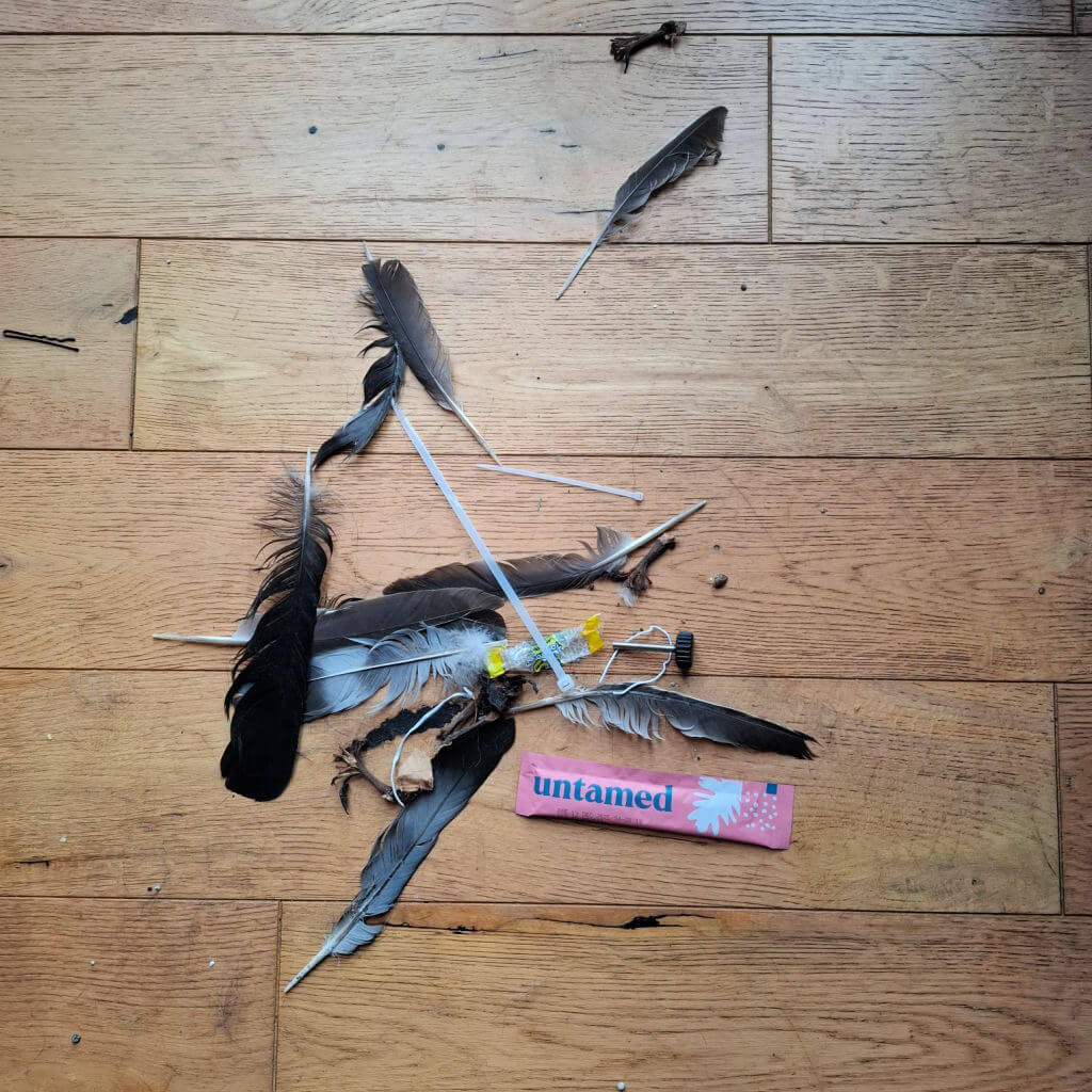 A scatter of black and gray feathers, some debris, and a pink rectangular packet labeled "Untamed" lie on a wooden floor, conveying a sense of disorder.