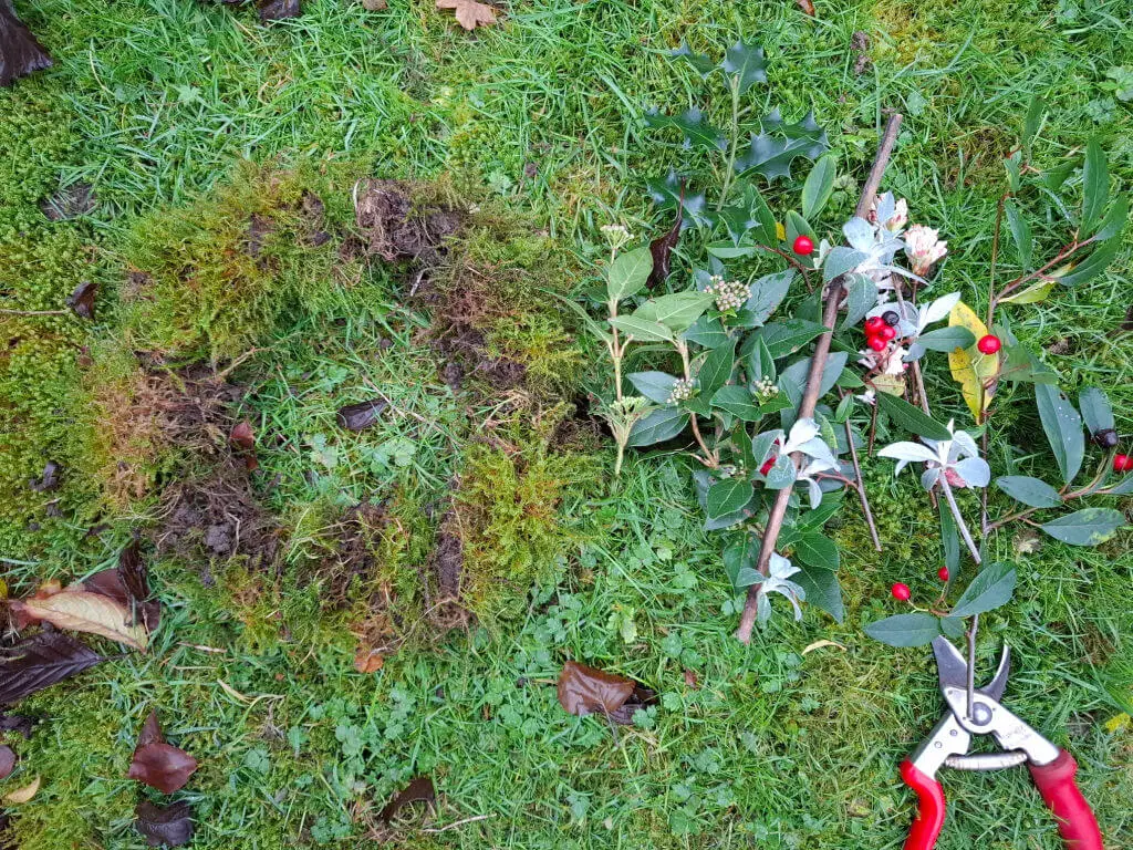 Green grass backdrop with a circle of moss, scattered leaves, and branches with red berries. Red-handled pruning shears are on the ground, suggesting gardening.