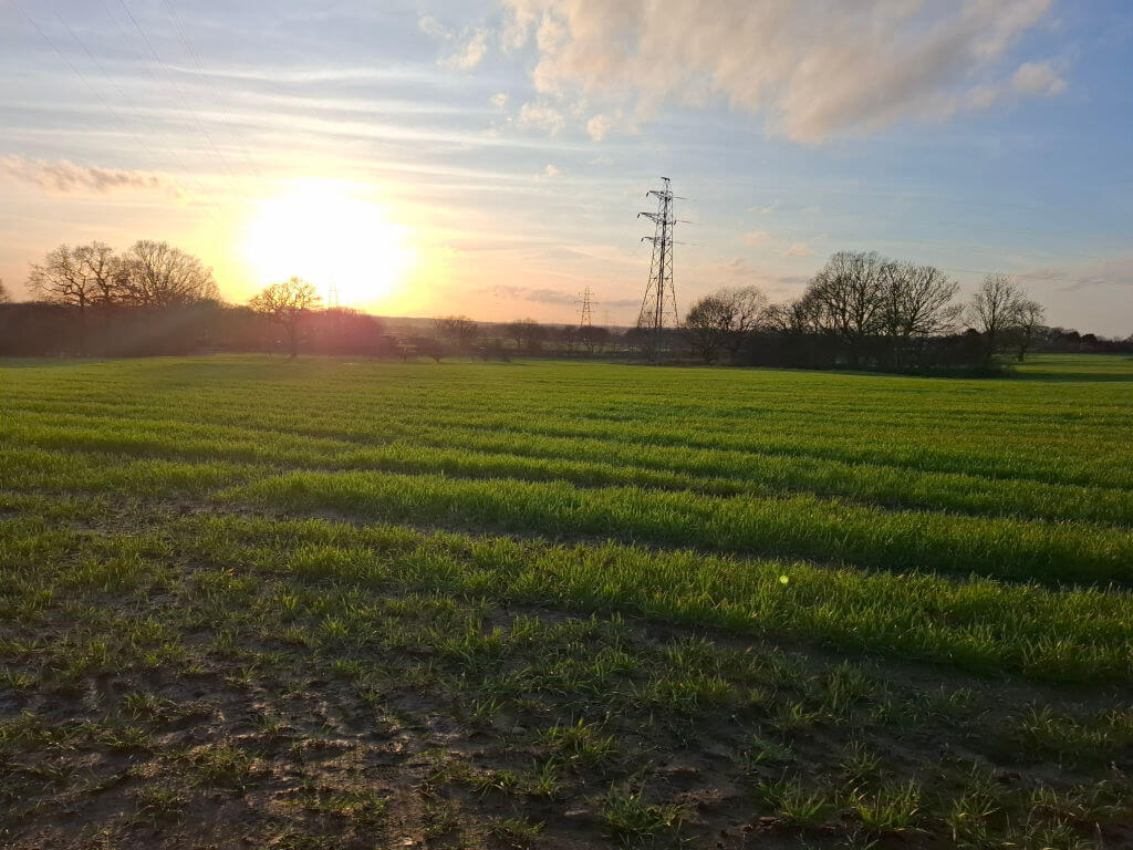 Sunset over a lush green field with neat rows and scattered trees. A tall electricity pylon stands silhouetted against the vibrant sky. Peaceful atmosphere.