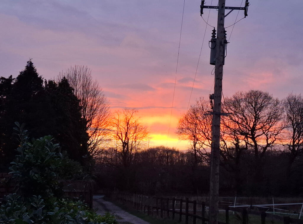 Sunset with orange and pink hues behind silhouetted bare trees and a power line pole. The scene conveys a peaceful, serene countryside.