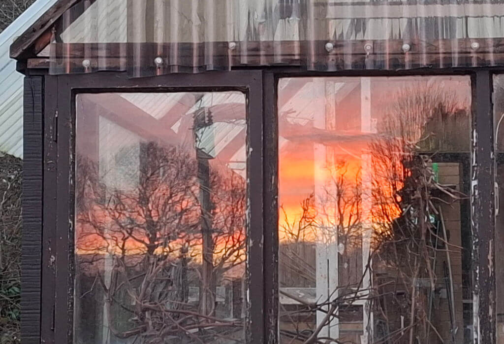 Reflection of a vibrant sunset with orange and pink hues on a greenhouse window, framed by silhouetted bare trees, creating a serene and warm ambiance.