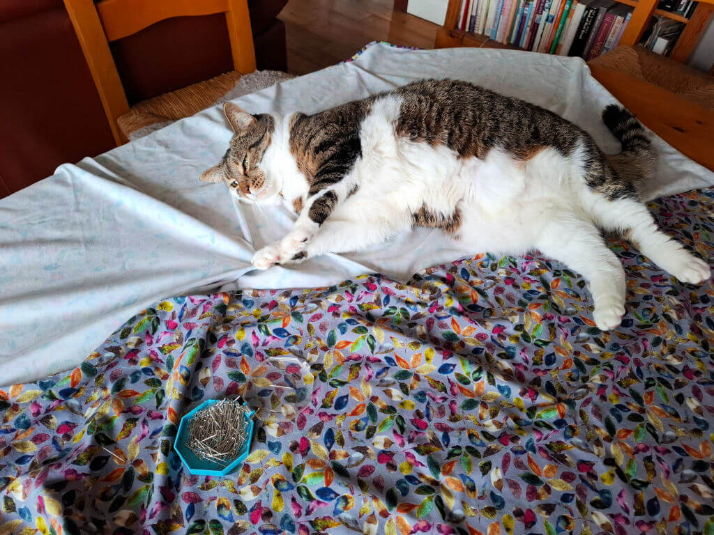 A relaxed tabby cat lies on colourful, leaf-patterned fabric beside a small blue container of pins. The setting is a cosy indoor room with wooden furniture.