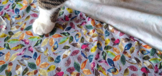 A cat's front legs and white paws are resting on a colourful, leaf-patterned fabric. The playful design contrasts with the cat's striped fur.