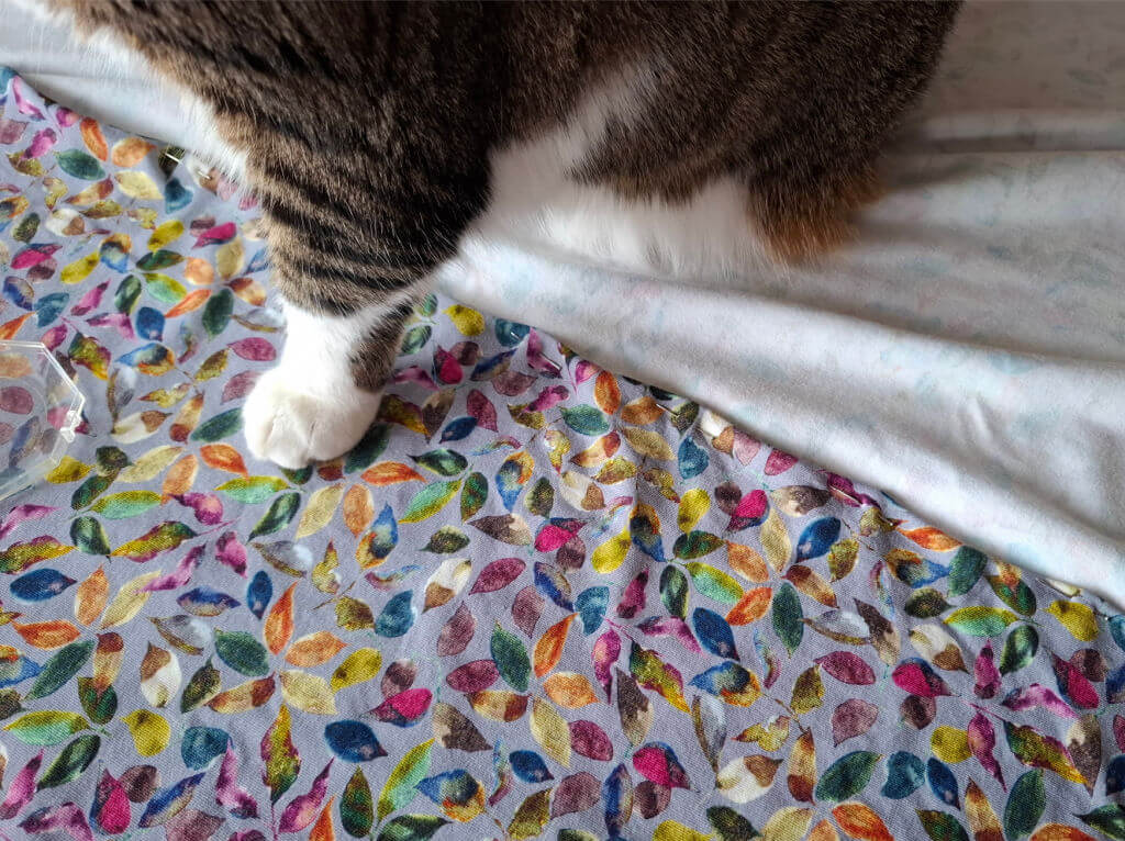 A cat's front legs and white paws are resting on a colourful, leaf-patterned fabric. The playful design contrasts with the cat's striped fur.