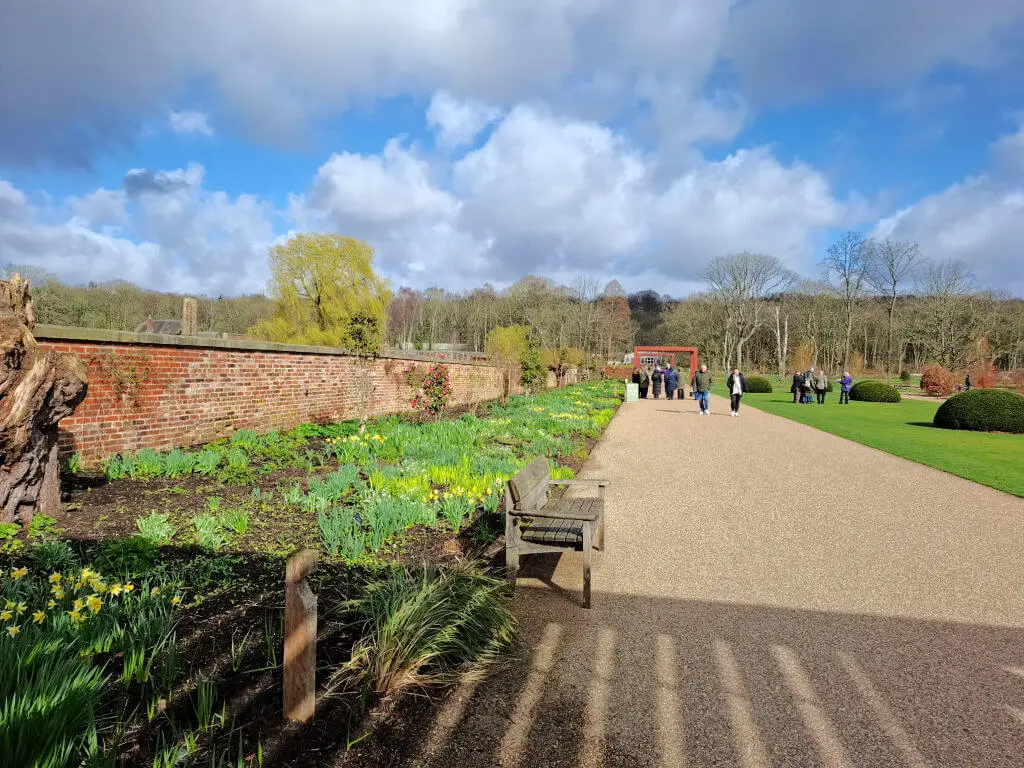 A sunny garden scene with a stone path, lined with blooming daffodils and a brick wall. People stroll under a blue sky with clouds, conveying a serene atmosphere.