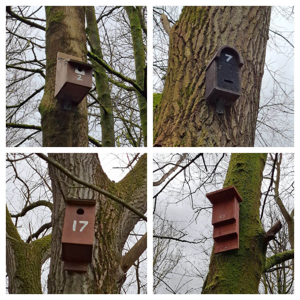 Four images show birdhouses attached to tree trunks in a forest. Each is numbered—2, 7, 17, and 63—amidst bare branches on an overcast day. The bottom right (63) is a bat box.