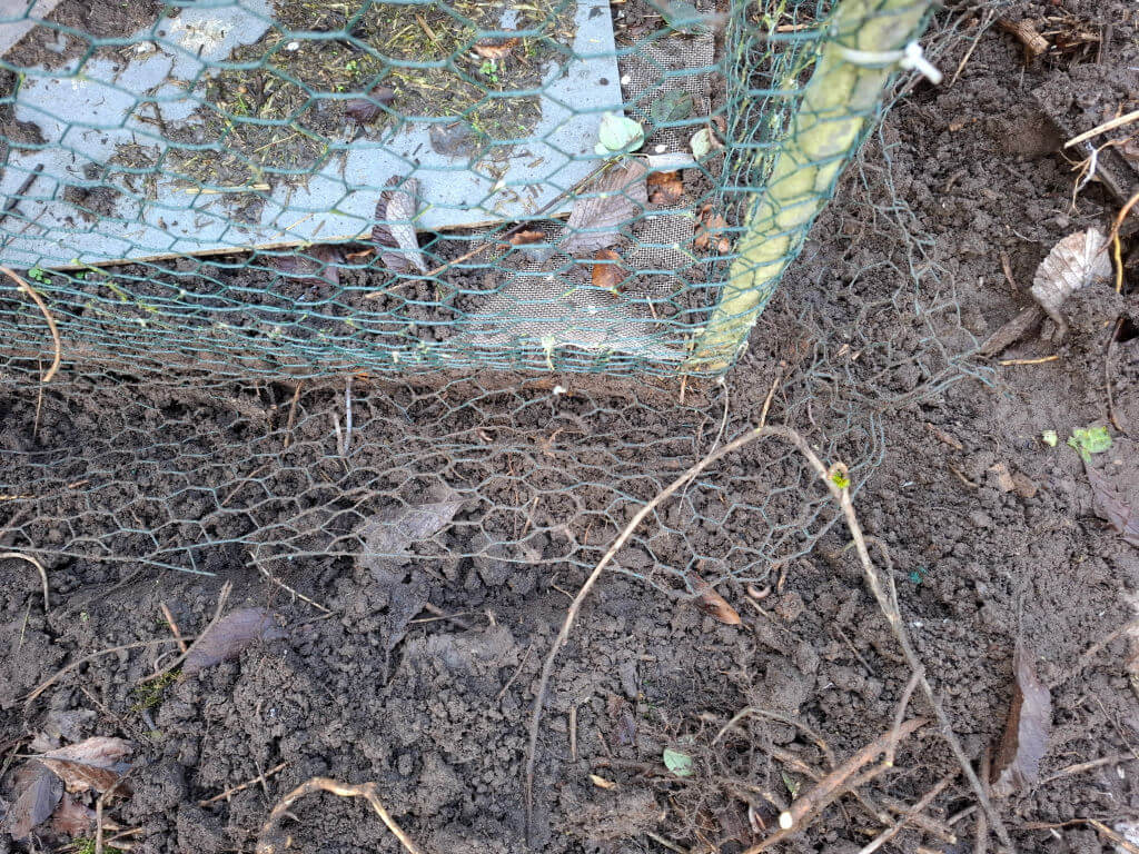 Wire mesh covers the ground by a garden, partially buried in soil with brown leaves scattered. The scene conveys rustic and earthy tones.