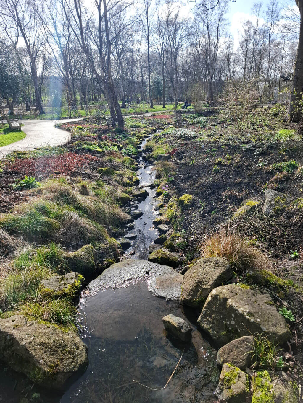 A serene park scene with a narrow stream flowing between rocky, grassy banks. Bare trees line the background, under a bright blue, partly cloudy sky.