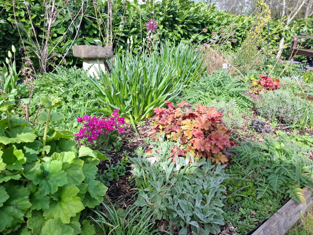 A lush garden with vibrant flowers and diverse plants. Central red and pink blooms stand out against green foliage. A stone birdbath adds charm.
