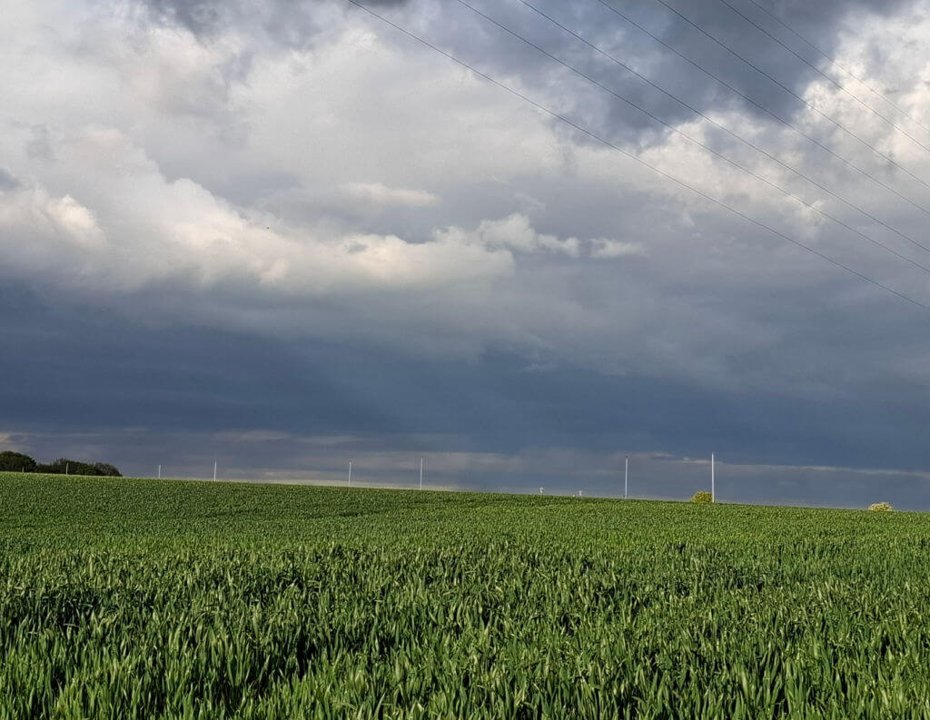 A vast green field under a dramatic grey sky with thick clouds. Power lines cross the scene, evoking a calm yet foreboding atmosphere.