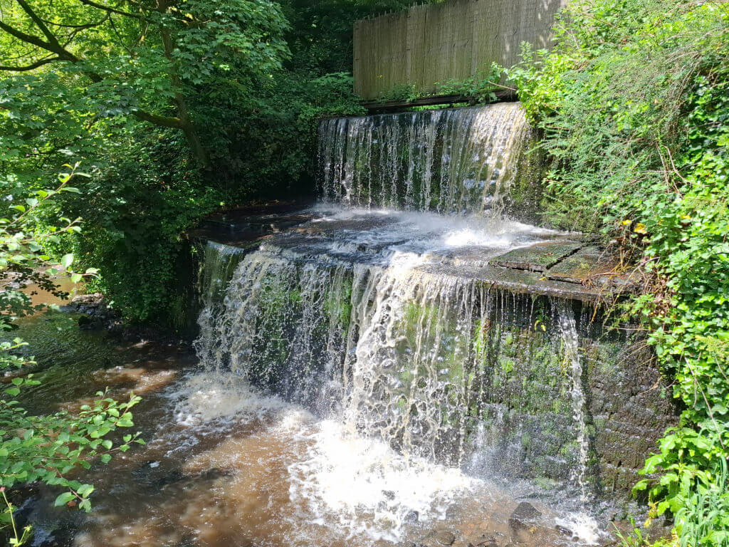 A small, cascading waterfall flows over a moss-covered, rocky ledge surrounded by lush green foliage. The scene is tranquil and refreshing.