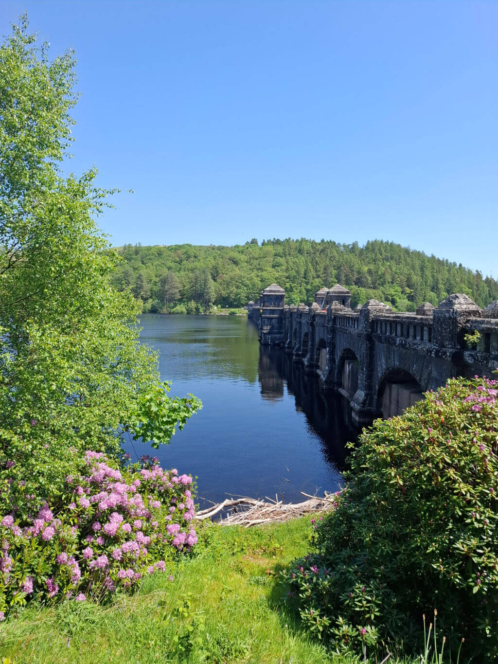 A serene lakeside scene with a historic stone dam on the right. Vibrant green foliage and blooming pink flowers frame the foreground under a clear blue sky.