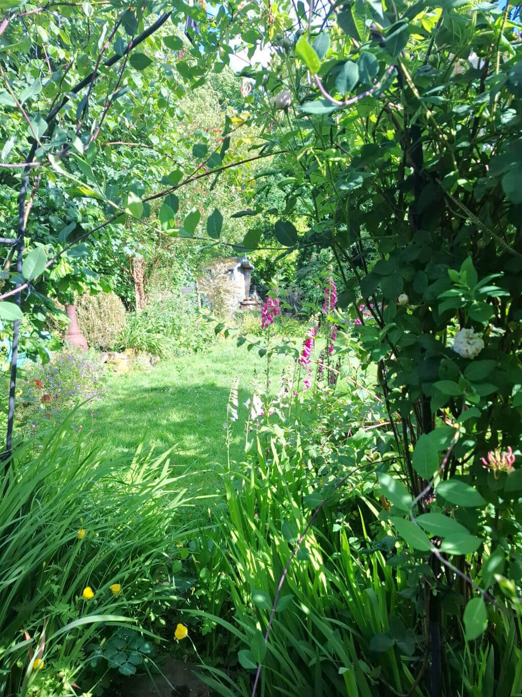 Lush garden with vibrant greenery and colourful flowers in sunlight. A narrow path leads to a lawn, creating a peaceful and inviting atmosphere.