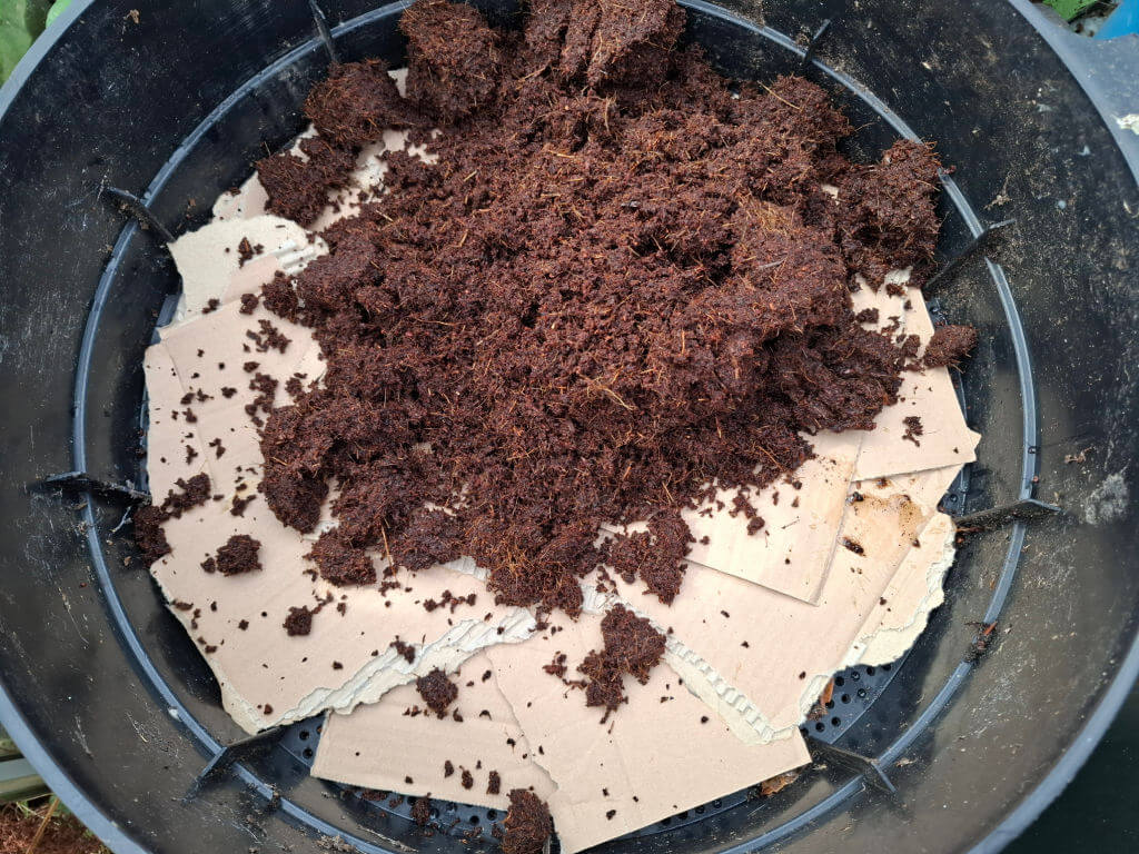 Top-down view of a black planter filled with torn cardboard and a mound of dark, fibrous soil or compost, suggesting a worm bin setup.