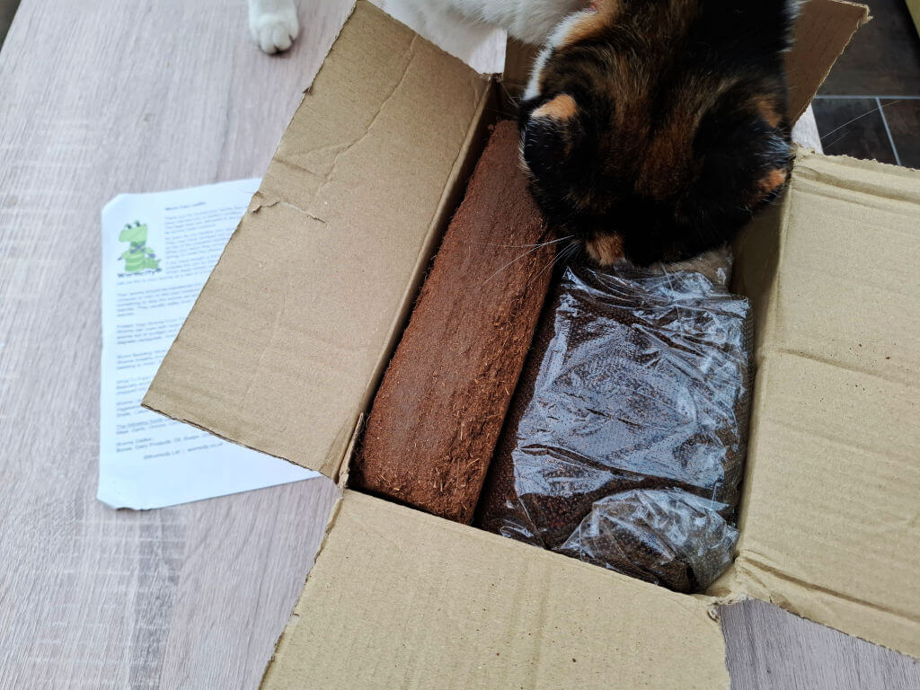 Open cardboard box containing a long coir brick and a bag of composting worms sealed in plastic, with an instruction sheet beside it.  A cat inspects the contents of the box.