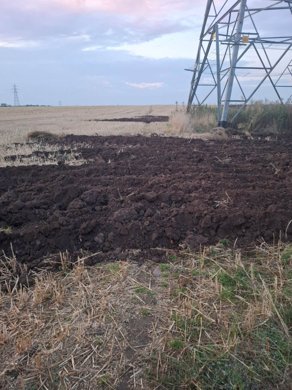 Freshly ploughed dark soil stretches across a rural field beneath a pastel sky, with a metal power pylon and distant lines creating a calm scene.