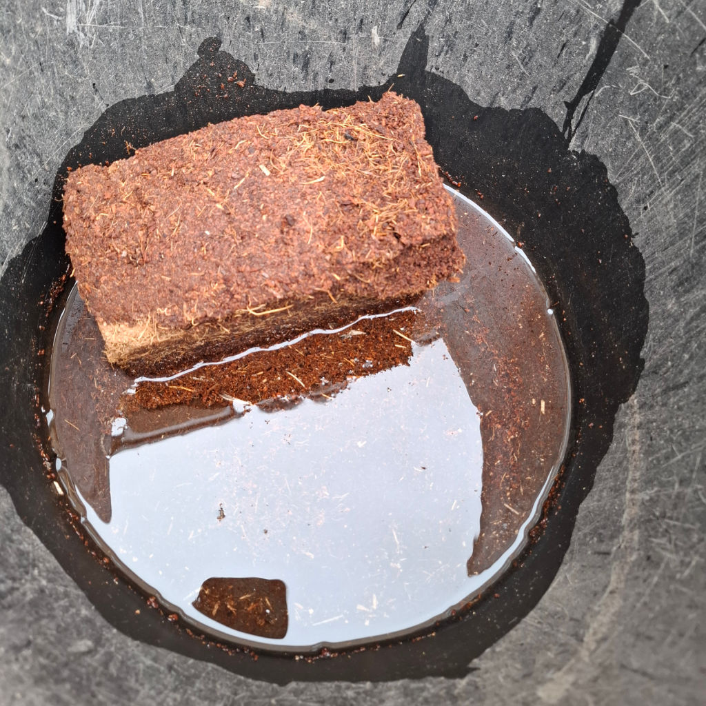 A brown coir brick soaking in a bucket of water.