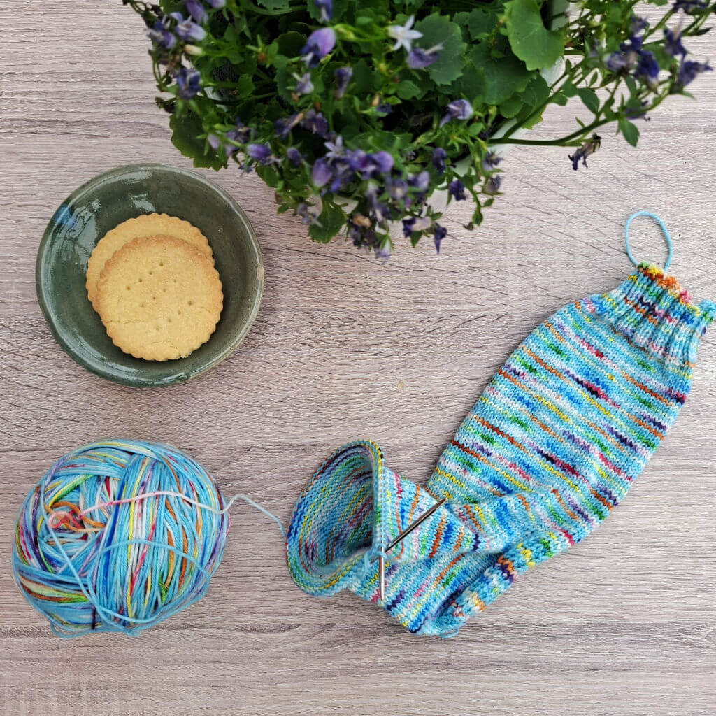 A blue multi-coloured partly-knitted sock and a ball of yarn on a wooden table next to a green saucer with two biscuits and a pot plant with purple flowers