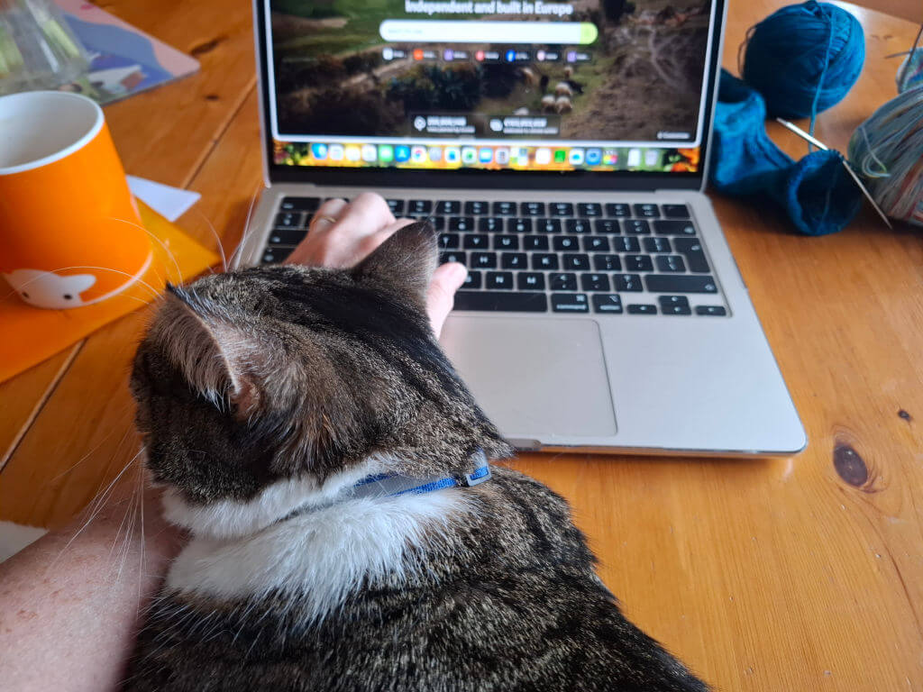 A tabby cat rests her head on a person's hand in front of a laptop on a table with an orange mug and some sock knitting